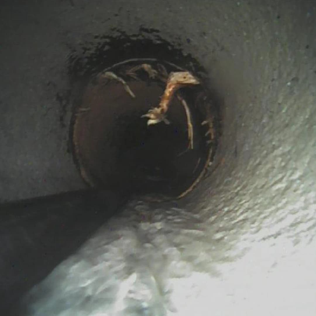 Rohrleitungsinspektion