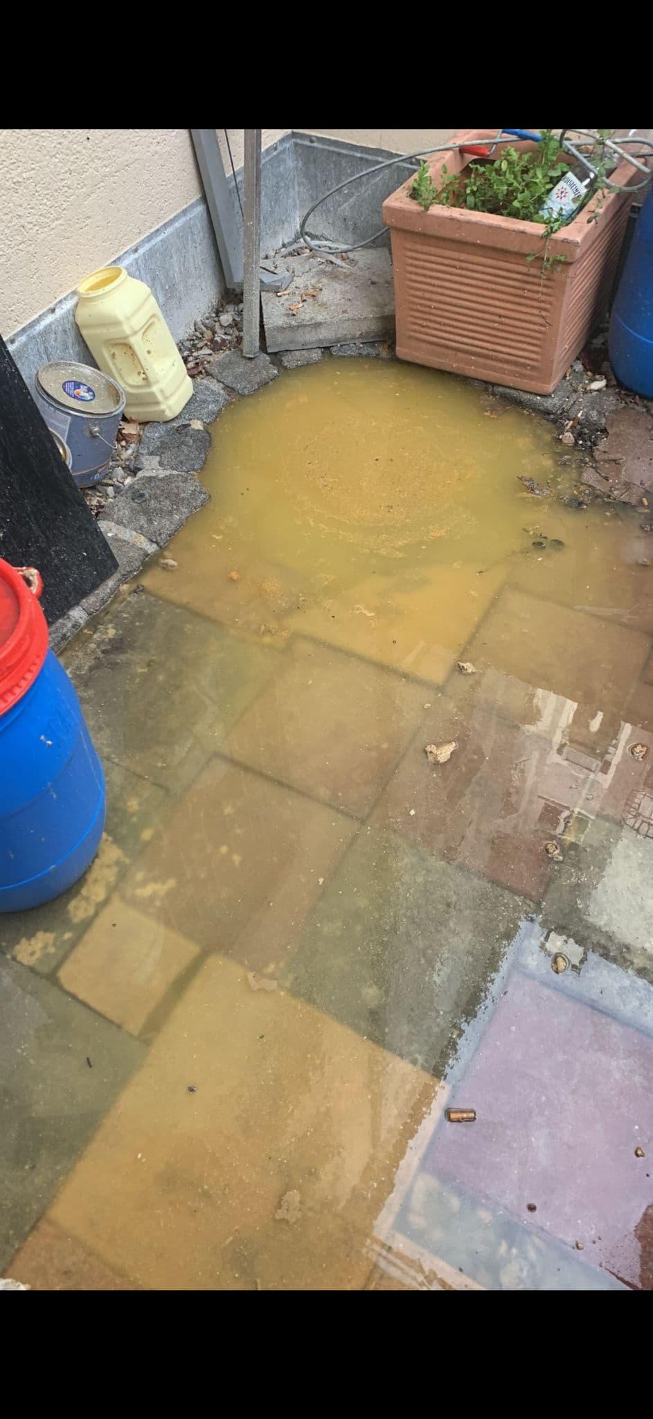 Verstopfte Dusche befreit München