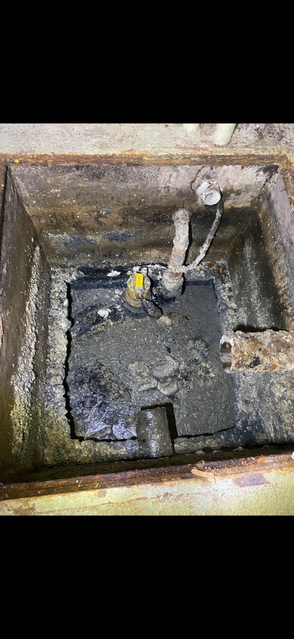 Haarverstopfung Dusche entfernt