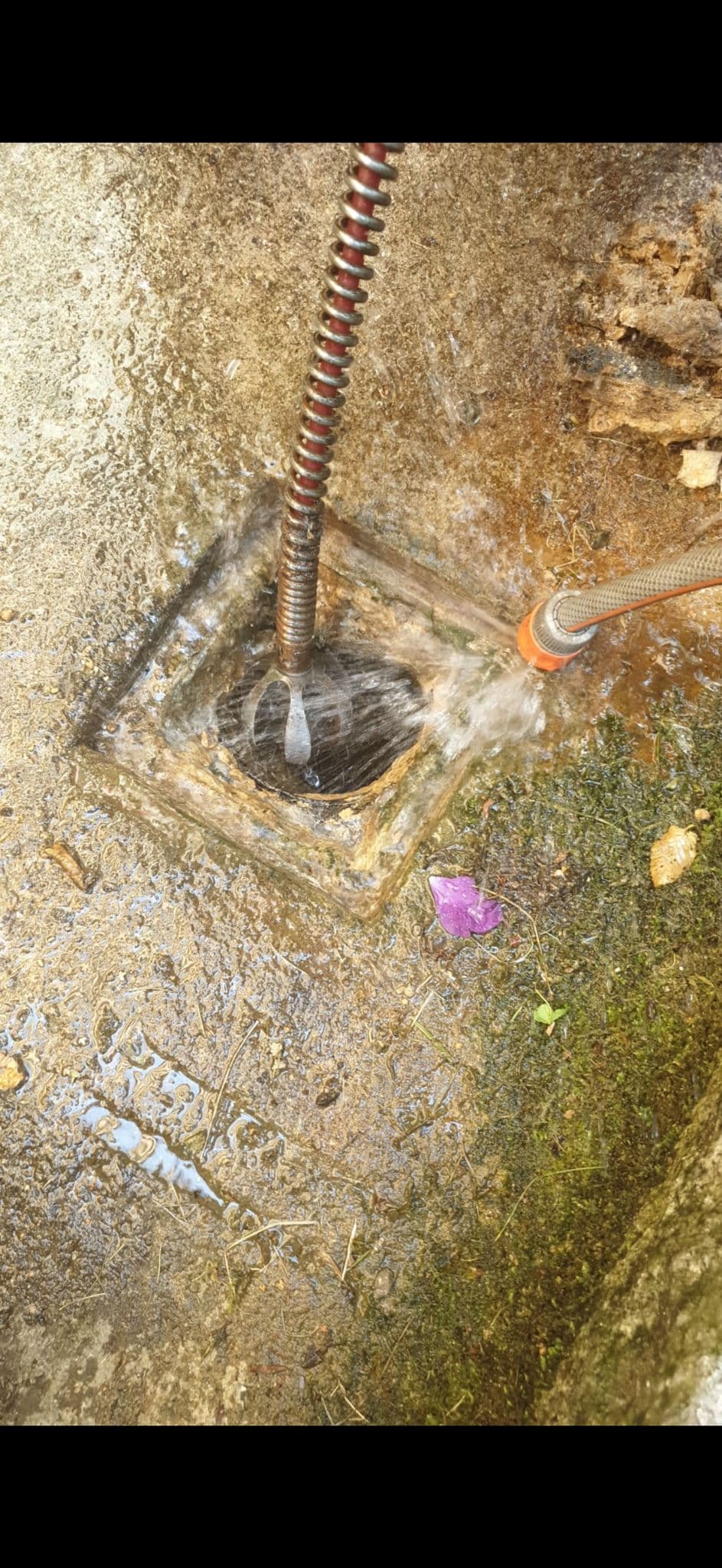 Wurzeleinwuchs Entfernung Kanal München