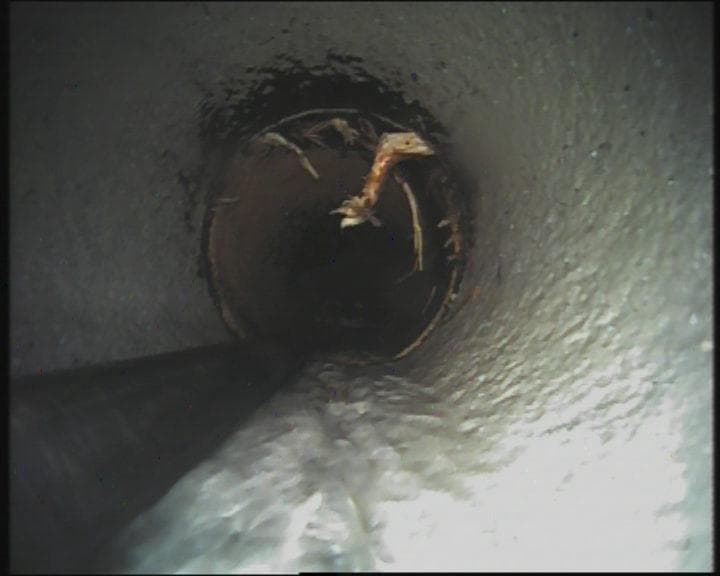 Schnelles Diagnoseergebnis