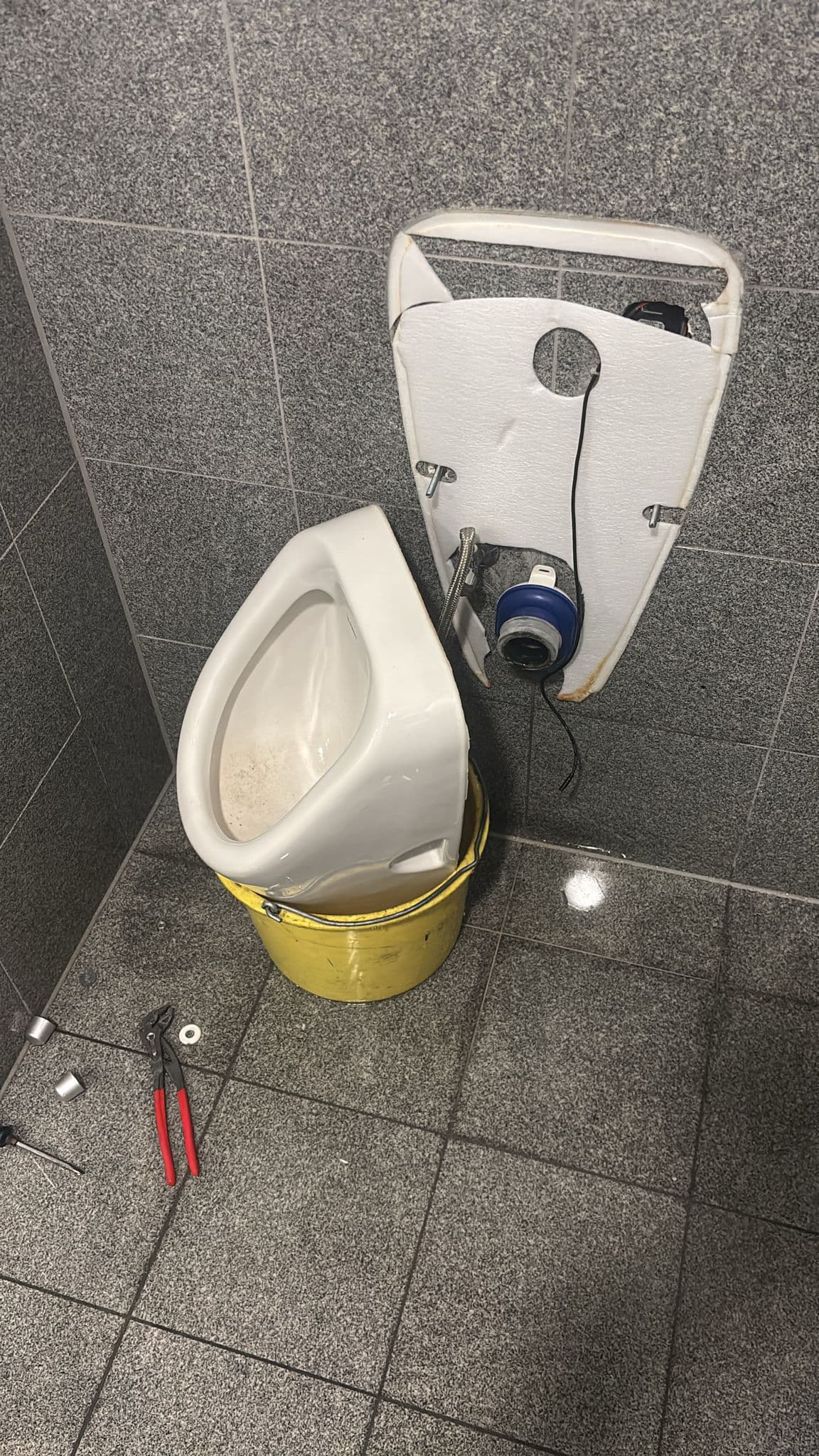 Toilettenreinigung